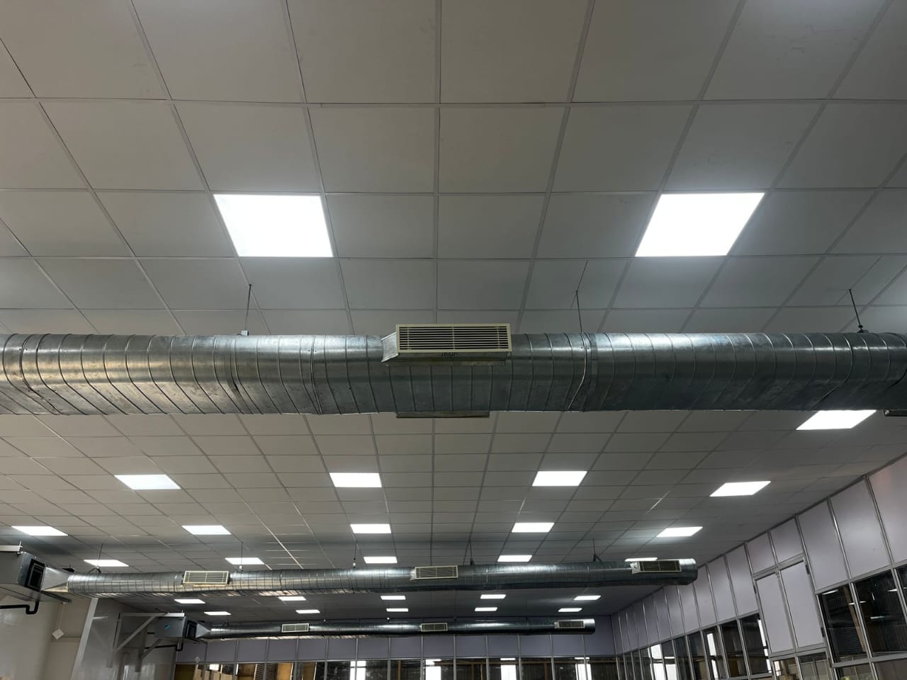 Technician inspecting appliance components